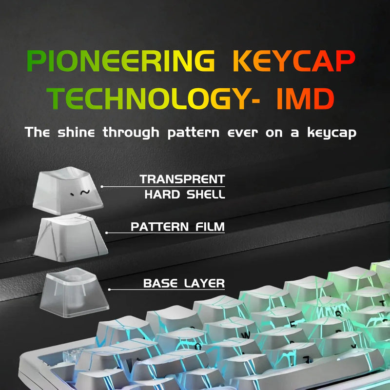 Wired RGB Backlit TKL Keyboard Compatible for PC/Laptop, USB- Compact Layout with 19-Key Anti-Ghosting, Space-Saving Design & Rainbow Suitable for Gaming, Office, Study, Gift for, Students, PC