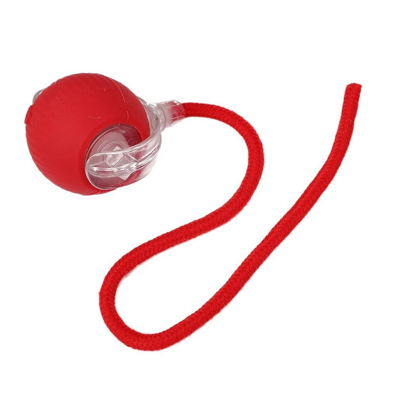 Smart Rolling Ball Cat Toy Interactive Self Play Bite Resistant Pet Toys for Cats Entertainment Boredom Relief Pet Supplies Cat