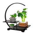Miniature Ebony Decorative Shelf Coffee Tea Sets Wood Pedestal Figurines Vase Flower Pot Circular Decor Frame Bonsai Plant Rack