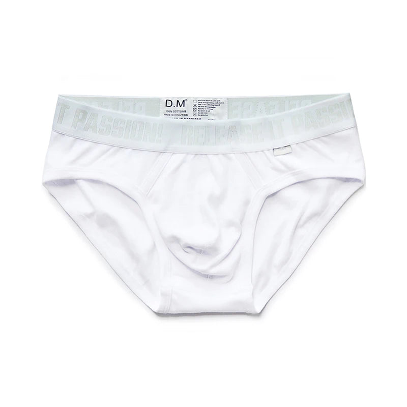 Male Underwear Gay Cuecas Masculinas Solid Sexy Men's Briefs Low-Rise Ropa Interior Hombre Underwear Men Sissy Slip Homme Sport