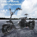 Shaft Drive Three-wheeled Electric Vehicle Lithium Battery 1000W Scooter City Small 48V