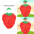 Strawberry Outfit Cartoon Food Cosplay Costume Fruit Costume for Party Stage