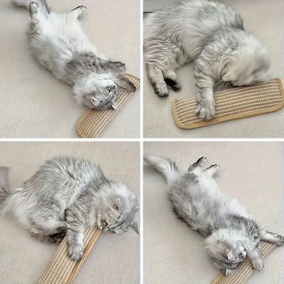 Cat Toy Game Pillow and Cat Scratching Pad for Solo Play and Intimate Interaction to Keep Your Feline Friend Happy and Soothing