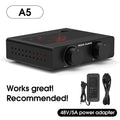 Douk Audio A5 Mini TPA3255 Digital Power Amplifier HIFI 300W Class D Home Stereo Speaker Amp