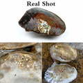 Freshwater Cultured Pearl About 20 - 25 Beads 5 - 7mm Love Wish Oyster Jewelry DIY Accessories Special - Visuel 3 | SAMAG