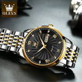 OLEVS Watch for Men 100% Original Automatic Mechanical Man Watches Steel Strap Waterproof Wristwatches Men's Luxury Brand Watch