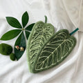 Towels Ultra-Absorbent Quick-Dry Bathroom & Kitchen Towel - Tropical Leaf Design Hand/Thumb Towel with Hanging Loop