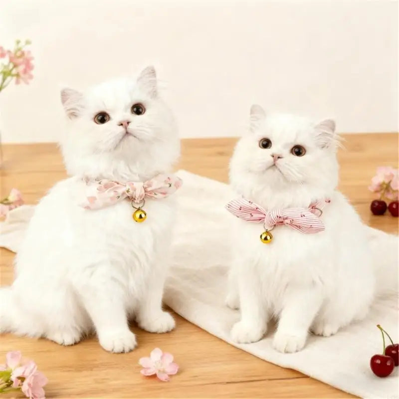 F19B Dog Cats Collar Comfortable Flower Charm Design Adjustable for Puppies Kittens Adults