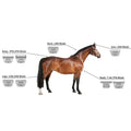 Detachable Animal wide Blade Compatible With Most Andis/Oster A5,A6/Wahl KM clippers ,Grooming For Pet,Dog,Sheep,Horses,Pigs