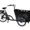 250 Watt 3 Wheel Electric Cargo Bike Mid Motor Electric Tricycles 3 Wheel electric cargo bike for Family