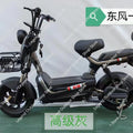 2025 New Electric Bicycle Hot Selling Chinese Electric Bike Adults Shipping Through Sea Transportation Channel