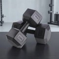 Hex Dumbbells Cast-Style Hexagonal Flat-Sided Strength | SAMAG