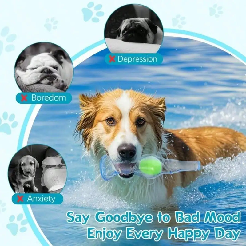 One Set Of Combination Blue Water Bottle Interactive Dog Toy Queaky Dog Toys For Aggressive Chewers For Toys For Boredom Keep Teeth Healthy Durable Material Run Vigorously