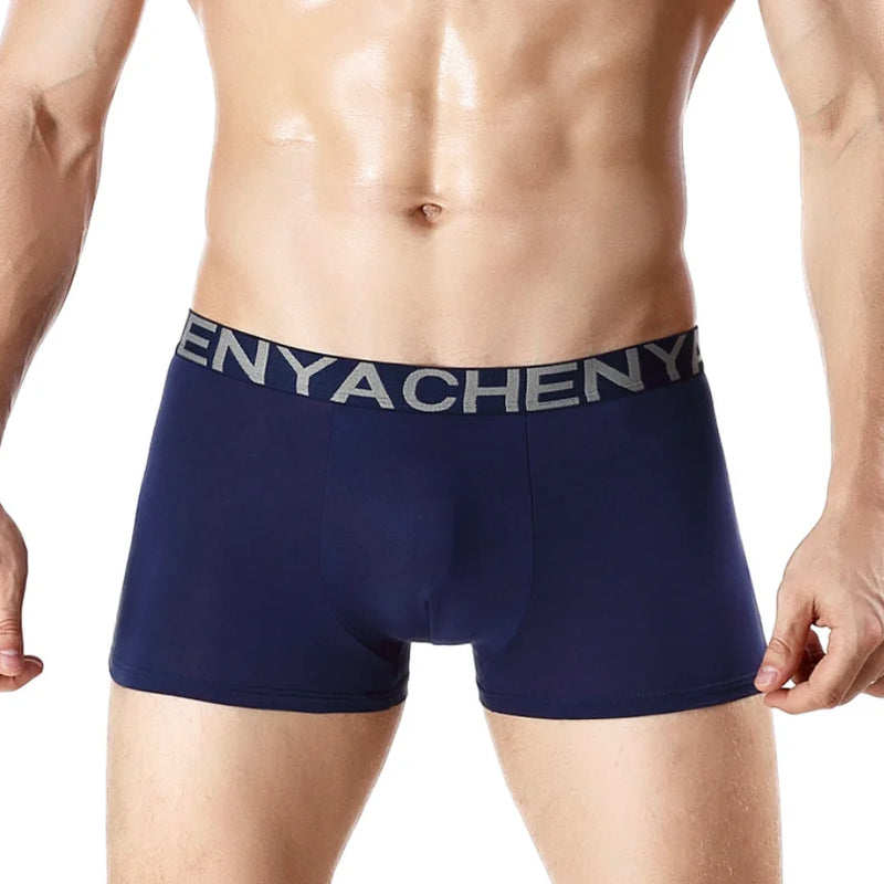 Bamboo Male Panties Sexy Underwear Men Cuecas Boxer New Fashion Boxer Shorts Mens Underware 4pcs/lot Free Shipping
