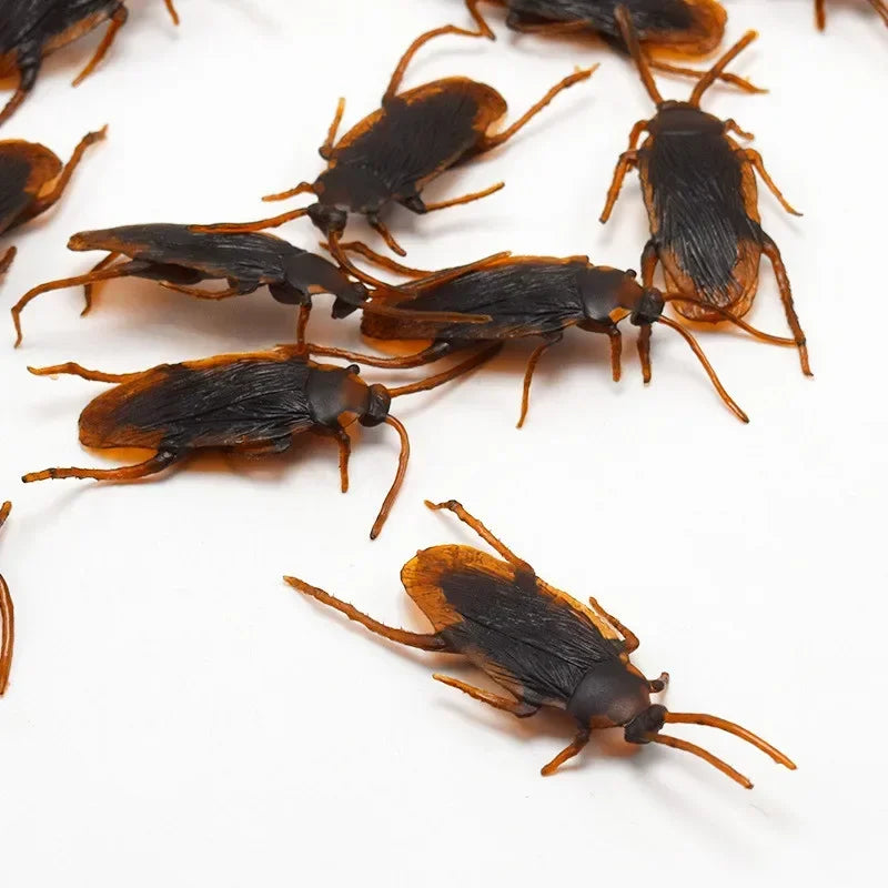 Rubber Cockroach Prop Realistic Fake Prank Joke Toy for Halloween Party Cosplay Special Lifelike