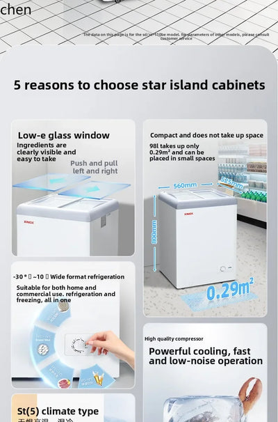 Freezer Large Capacity Frozen Display Refrigerated | SAMAG