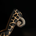 Women's New Genuine Leather Sheepskin Leopard Print Horsehair Pointed Gold-Plated Heel Spring and Autumn High Heels Work Shoes
