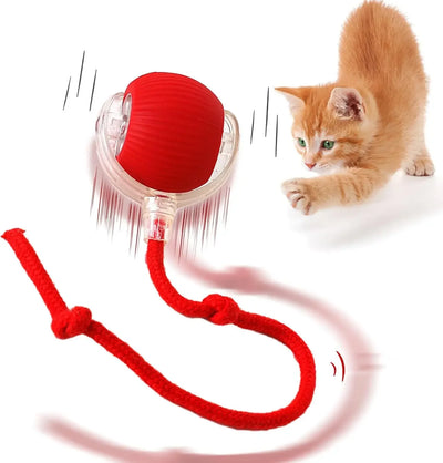 Automatic Rolling Ball Interactive Cat Toys Pet Supplies | SAMAG