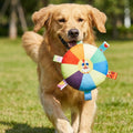 One Set Of Combination Blue Water Bottle Interactive Dog Toy Queaky Dog Toys For Aggressive Chewers For Toys For Boredom Keep Teeth Healthy Durable Material Run Vigorously