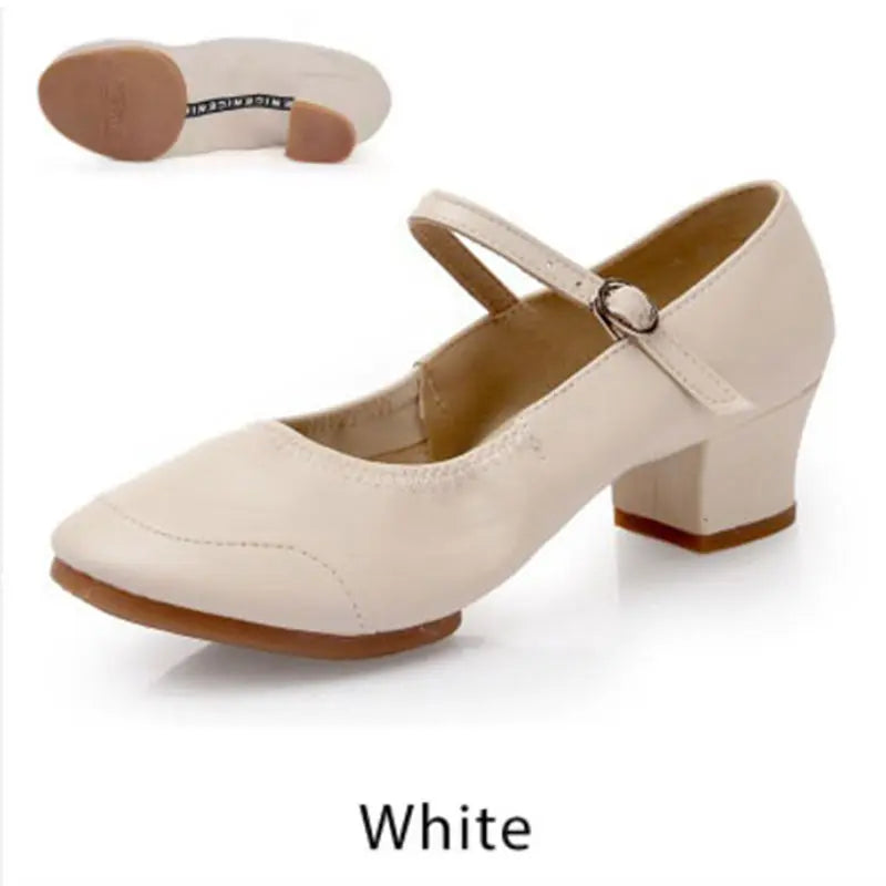 Dance Shoes Women Low-heeled Square Dancing Shoes Latin Salsa Dance Shoe Soft Sole Outdoor Dance Sneakers Spring Size 34-42