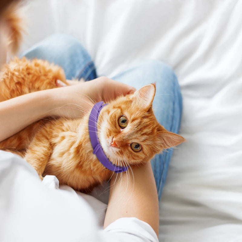 4Pcs Cat Calming Collar Cat Pheromone Collar Anti-Anxiety Comfort Cat Calm Collar Helps with Aggression for All Types of Cats