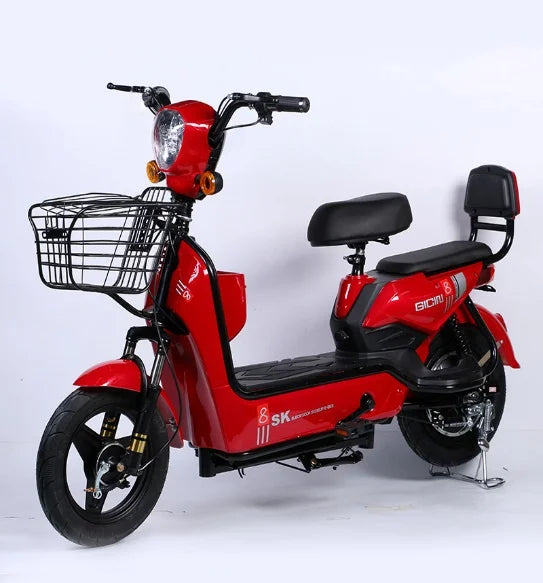 Electric bicycle two-wheel electric bike new national standard adult electric scooter wholesale manufacturer