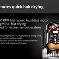 1600W High Power Negative Ion Hair Stylist Barbershop Special Silent Blower Constant Temperature Hair Care