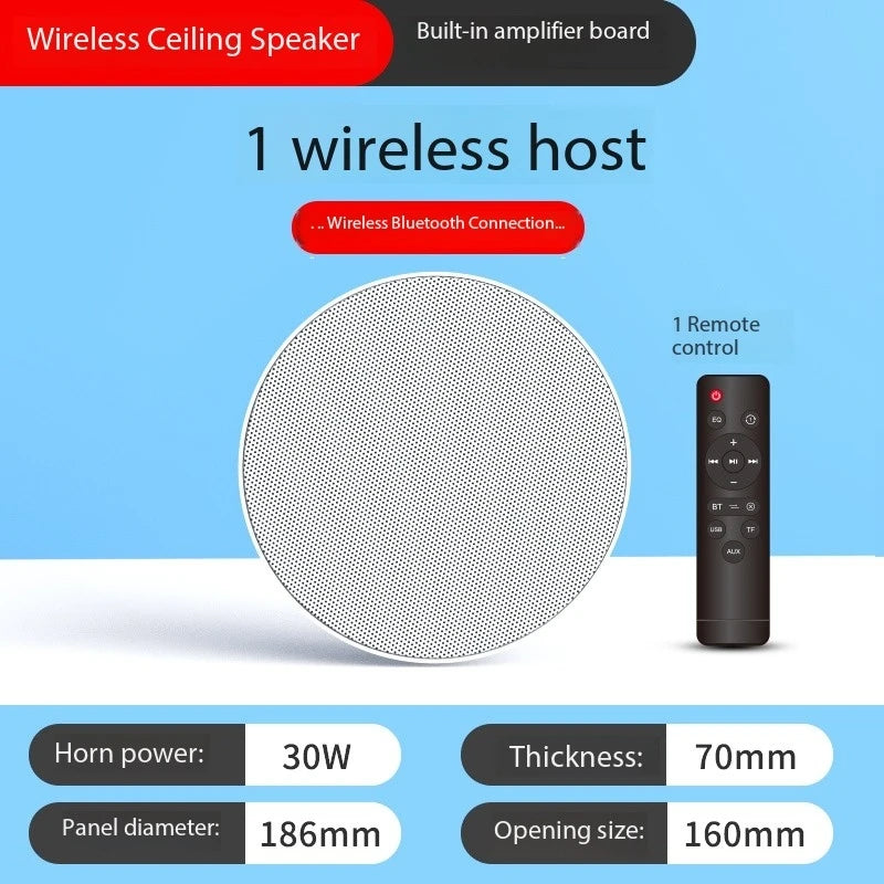 High Quality Home Theater Ceiling Speakers 30W High Power Host Wiring-free Wireless Bluetooth Connection With Remote Control