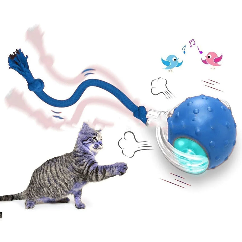 Smart Rolling Ball Cat Toy Interactive Self Play Bite Resistant Pet Toys for Cats Entertainment Boredom Relief Pet Supplies Cat