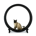 Multi-Functional Silent Cat Treadmill Pet Exercise Machine Claw Sharpening Track for Cats
