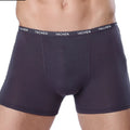 Bamboo Male Panties Sexy Underwear Men Cuecas Boxer New Fashion Boxer Shorts Mens Underware 4pcs/lot Free Shipping