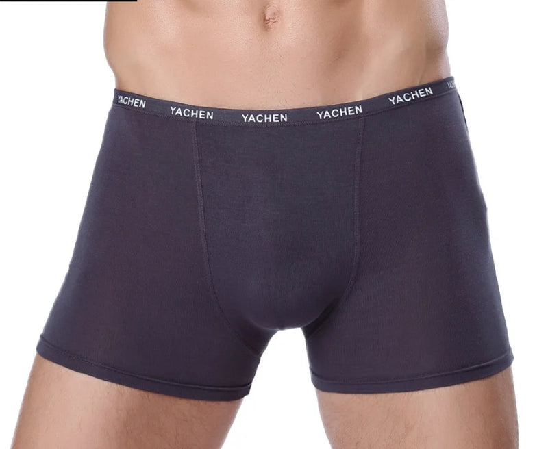 Bamboo Male Panties Sexy Underwear Men Cuecas Boxer New Fashion Boxer Shorts Mens Underware 4pcs/lot Free Shipping