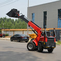 Free shipping custom mini skid steer loader EPA/EURO 5 telescopic arm skid steer loader track small wheel loader