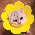 Pets Protective Collar EVA Soft Flower Shape Anti-lick Cats Dogs Wound Healing Protection Cover Anti-bite Animal Supplies