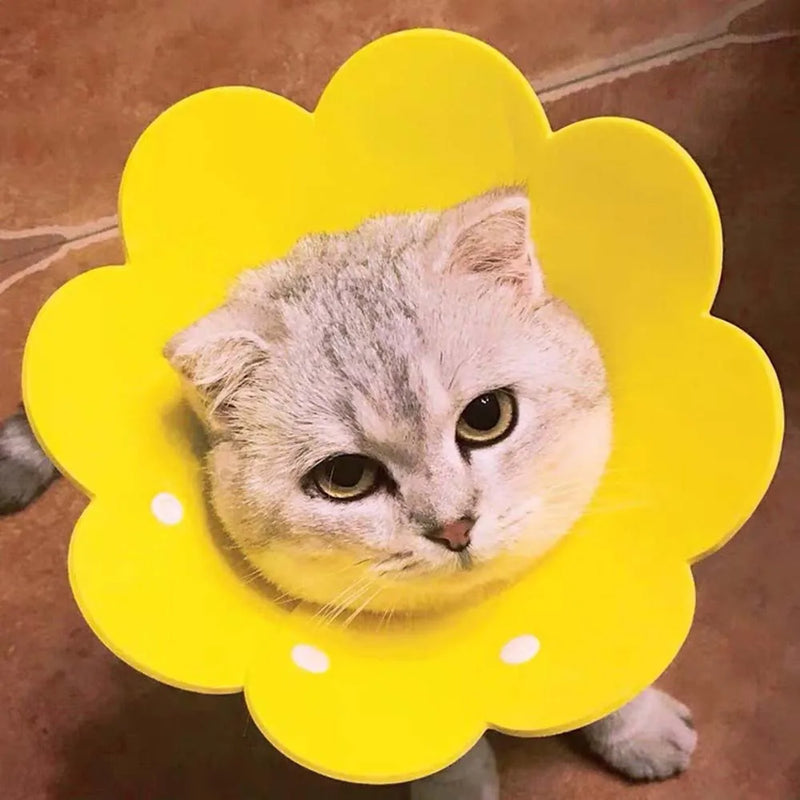 Pets Protective Collar EVA Soft Flower Shape Anti-lick Cats Dogs Wound Healing Protection Cover Anti-bite Animal Supplies