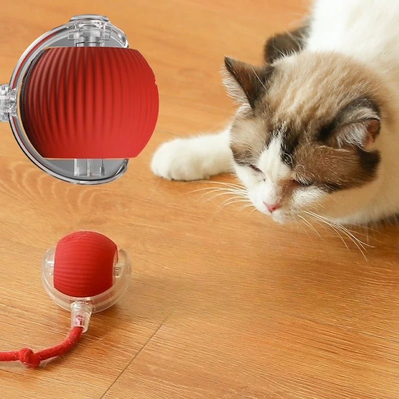 Automatic Interactive Ball Cat Toys  Rolling Ball Rolling Ball Electric Dog and Cat Training to Imitate Rat Rechargeable Product