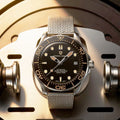 PAGANI DESIGN Men's Mechanical Watches Luxury Automatic Watch For Men Luminous Diving Steel Watch Japan NH35 Wristwatch 2023 New