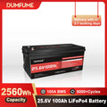 Dumfume 24V 100Ah LiFePO4 Lithium Iron Phosphate Battery 100A BMS 2560Wh Energy RV Camping Solar Off-grid Systems Home Storage
