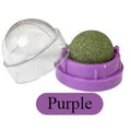 Mint Ball Cat Teeth Cleaning Toy Designed For Chewing And Entertainment A Must-Have Cats Fun Pet Licking