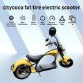 2000W Large Wheel Electric Scooter