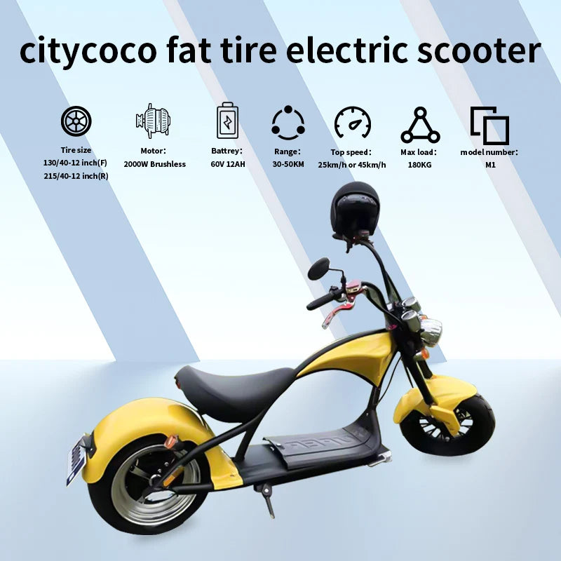 2000W Large Wheel Electric Scooter