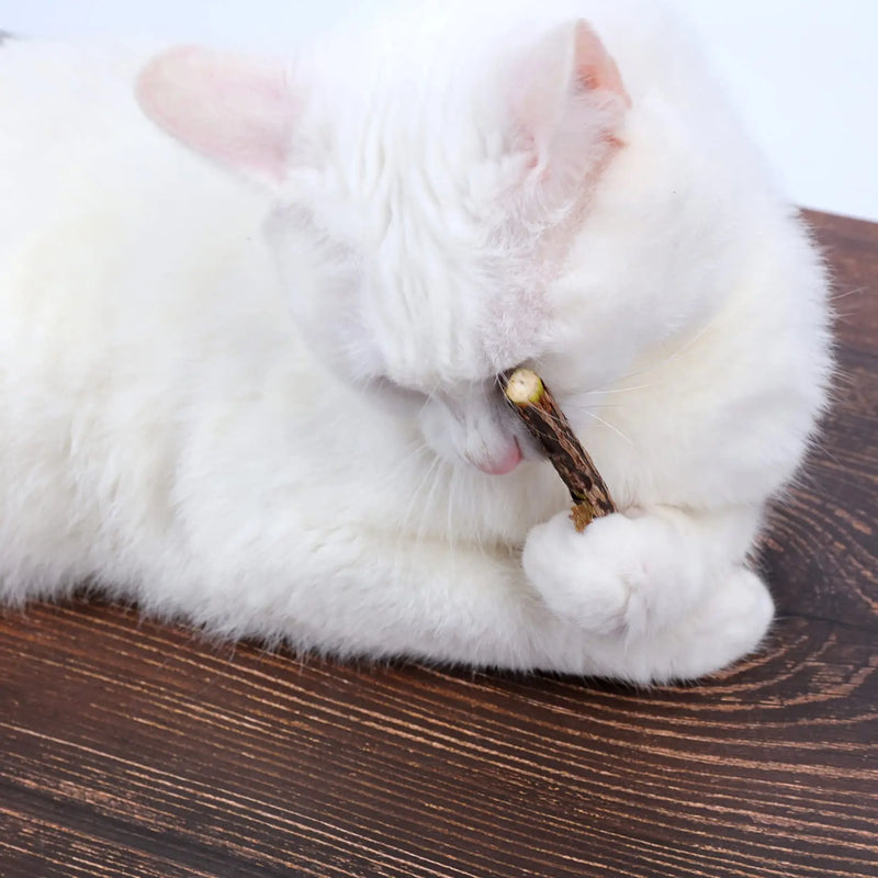 33pk Catnip & Silvervine Sticks - Natural Chew Toys w/ 3 Mouse Toys
