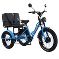 Fat Tire Electric Tricycle Adults With Passengers Powerful 48V 750W Family Electric Bicycle Removable Battery With Safe Belt