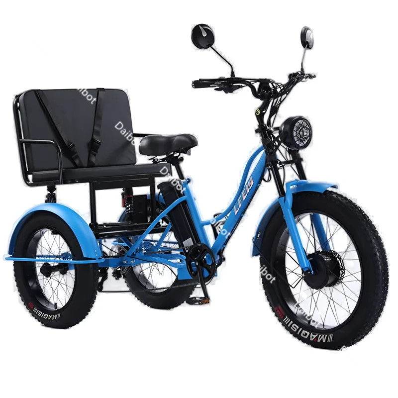 Fat Tire Electric Tricycle Adults With Passengers Powerful 48V 750W Family Electric Bicycle Removable Battery With Safe Belt