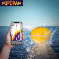 PUPOPAN 100M Smart Phone Fish Finder Sonar Bluetooth | SAMAG