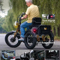 High Power Long Range Dual Motor Dual Battery 3 Wheel E Cargo Trike Adults Sand and Snow Fat Tire Electric Delivery Tricycle