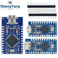 TZT MICRO/MINI/TYPE-C USB ATMEGA32U4 Module 5V 16MHz Board For Arduino ATMEGA32U4-AU/MU Controller Pro-Micro Replace Pro Mini