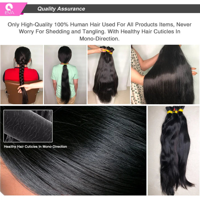 Widow's Peak M Hairline 13x6 HD Lace Front Wig 100% Human Hair Wig Silky Straight 13x4 HD Lace Frontal Wig Bleached Knots HD Wig