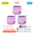 Tuya Smart Life Wifi Switch 2 Gang Relay Breaker Module Google Home Alexa Echo Voice Control Smart Lighting Timer Switch DIY