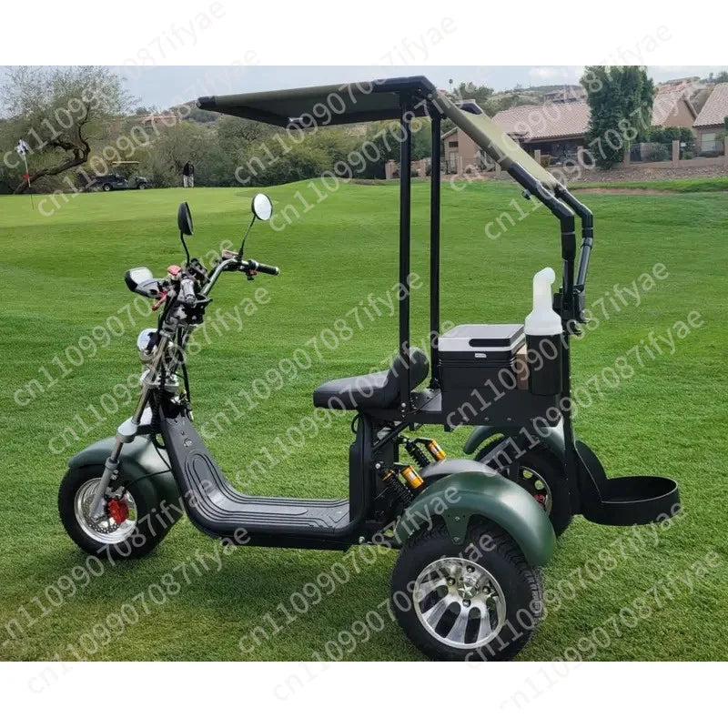 Golf Smart Waterproof Foldable Electric Three-Wheel Golf Scooter with Brushless Motor and LED Lighting